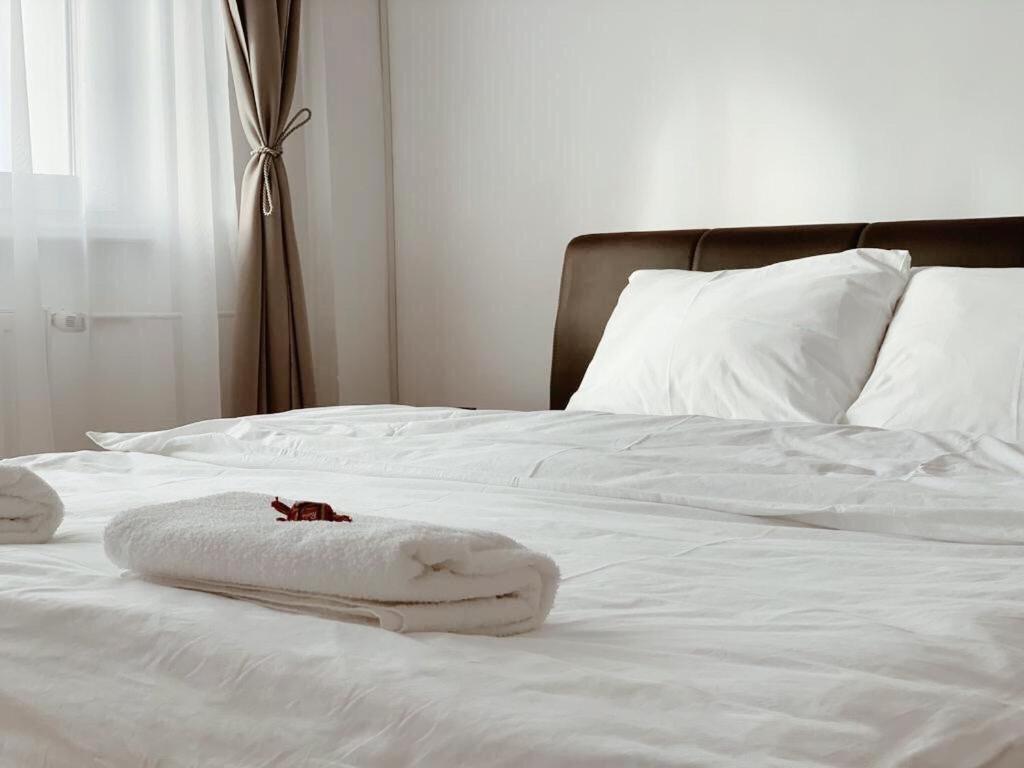 Ultracentral Apt With City Center View - Smart Tv - Ac Timisoara Exterior foto